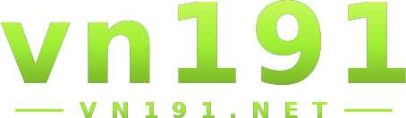 vn191 logo